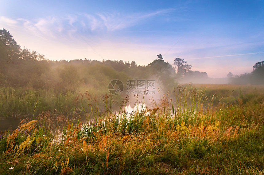 早上雾的河夏天的薄雾日出河上雾蒙蒙的早晨全景早上雾的河流夏天的薄雾日出河上图片