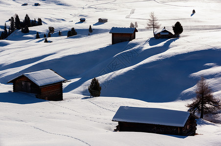 佩皮诺下雪的公园高清图片
