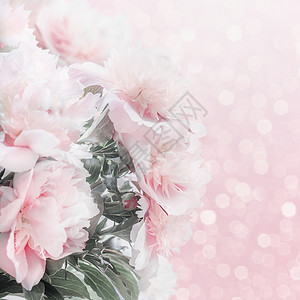 漂亮的淡粉色牡丹花缘与博克母亲日婚礼快乐活动的布局贺卡图片