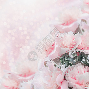 粉皮牡丹花缘与Bokeh母亲日婚礼快乐活动的布局贺卡图片