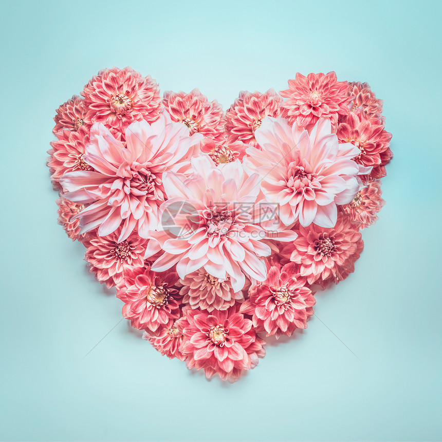 柔的颜色心由可爱的粉红色花绿松石蓝色背景上,顶部的景色爱情,婚礼情人节的贺卡的布局图片
