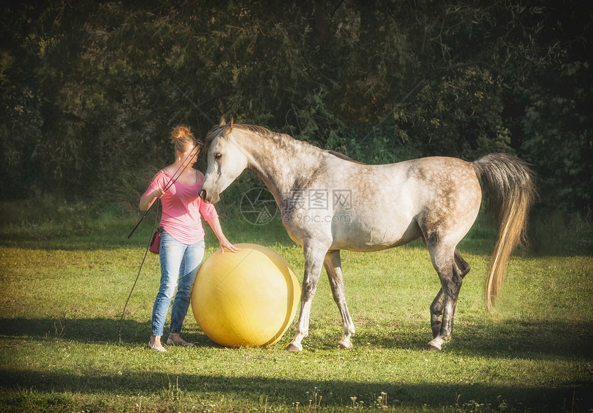 免费的马个女人玩个大球马术场景免费骑马服装图片