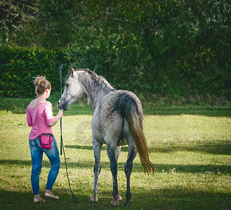 免费的马个女人马术场景免费骑马服装图片