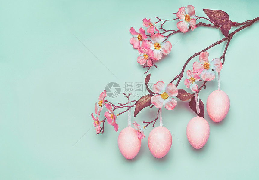 粉粉复活节彩蛋挂春天的花枝上,蓝色的绿松石背景,以问候邀请图片