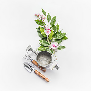 浇水罐与园艺工具绿色的树枝与花装饰白色的桌子背景,顶部视图图片