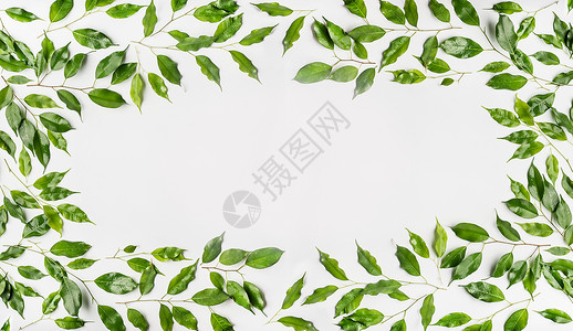 白色背景上由绿色枝叶制成的漂亮框架平躺,俯视图,水平,横幅图片