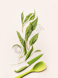 创意布局与新鲜绿色野生大蒜叶,刀烹饪勺子白色背景健康的季节食物,食谱饮食图片