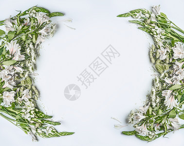 创意美丽的花架布局与绿色的花,花瓣叶子白色的背景,顶部的背景图片