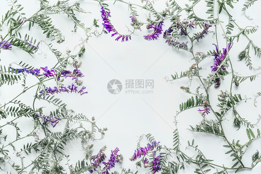 花架由白色背景上的野花制成夏天的平躺,俯视花卉紫色花卉布置老鼠豌豆Vetch多色ViciaCr图片