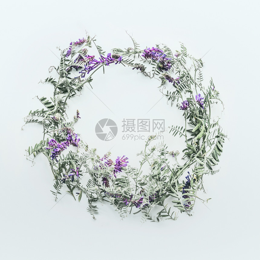 花圈由白色背景上的野花制成夏天的平躺,俯视花卉紫色花卉布置老鼠豌豆Vetch多色ViciaCr图片