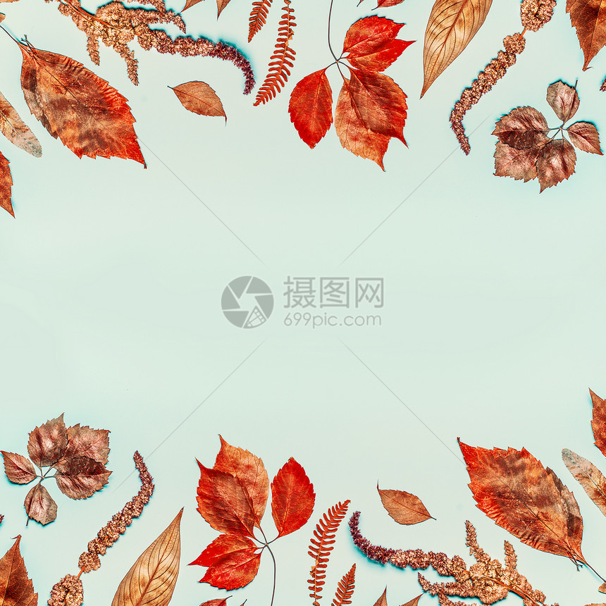 秋季背景与各种彩色干燥的落叶,顶部视图,框架图片
