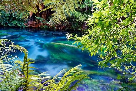 蓝色春天,怀卡托,新西兰水晶清澈的河流南怀卡托,新西兰图片