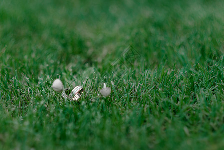 绿色草地上的金色结婚戒指,几个戒指图片