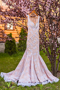 木屋树上的婚纱图片