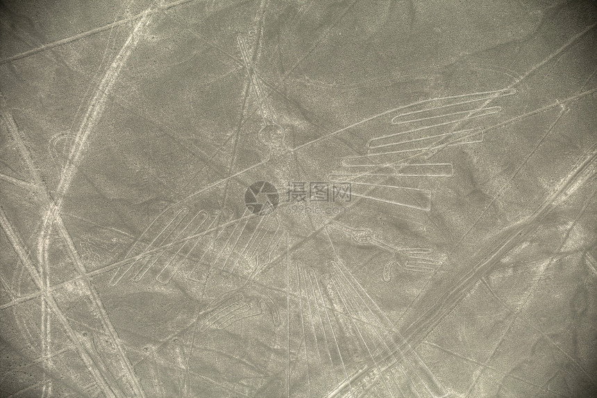 联合国教科文遗产纳兹卡秘鲁秃鹫的线条地理标志图片