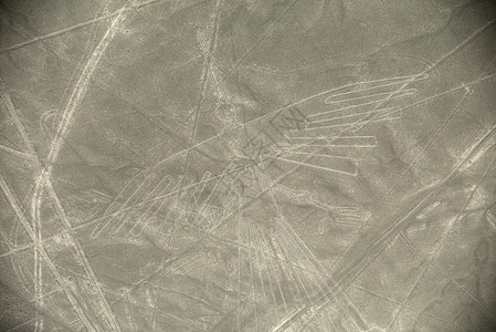 联合国教科文遗产纳兹卡秘鲁秃鹫的线条地理标志图片
