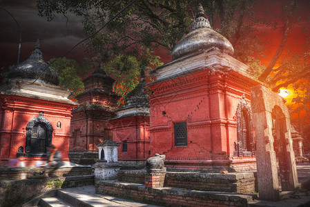 还愿的自由行走的猴子尼泊尔加德满都的帕舒帕蒂纳特寺庙里,排排的寺庙神殿背景