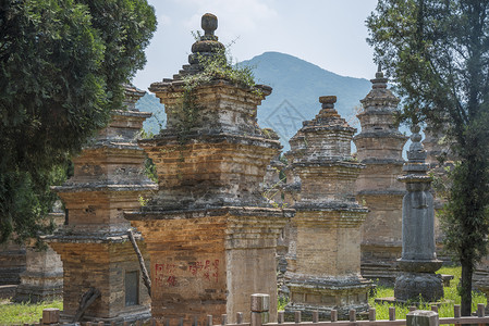 少林寺的森林宝塔中国少林寺的森林宝塔背景图片