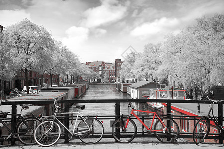 阿姆斯特丹秋天欧洲美丽的地方黑白照片图片