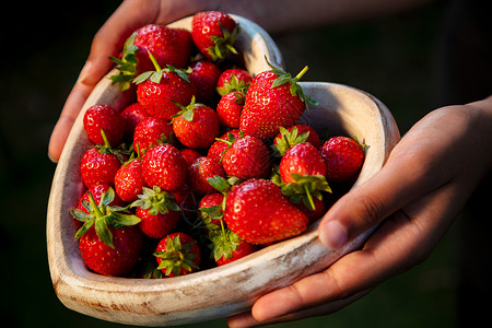 女孩轻女子手碗木制心形的新鲜采摘的红色草莓图片