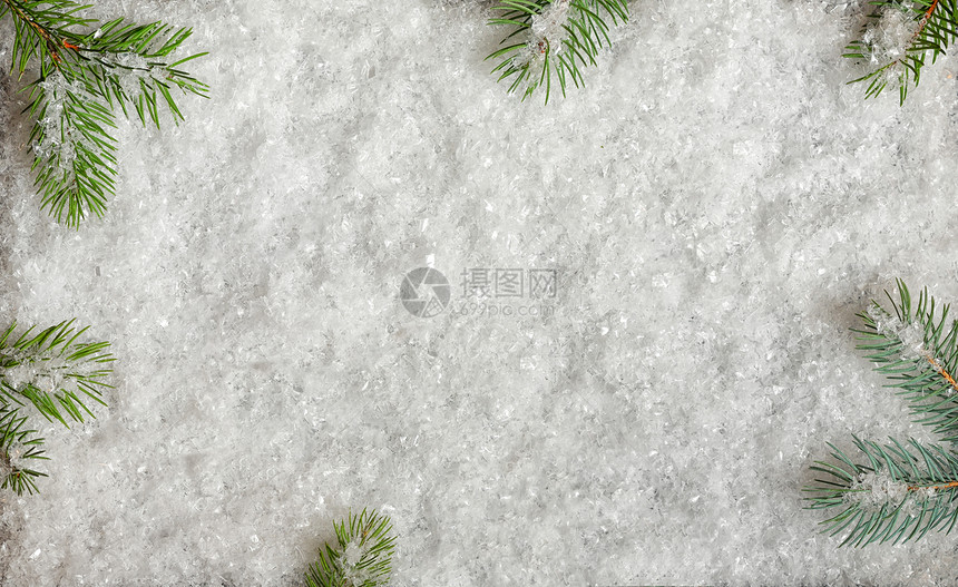 诞装饰冷杉树枝雪图片