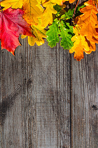 秋天五颜六色的叶子放木桌上,俯视图秋天的叶子桌子上图片