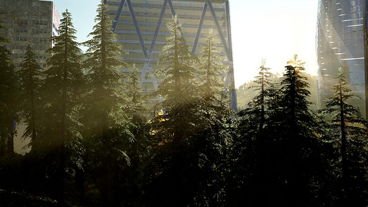 日落时公园森林摩天大楼图片
