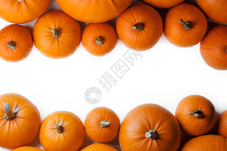 许多橙色南瓜框架隔离白色背景,秋收,万节感恩节的很多橙色的南瓜图片