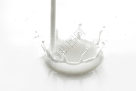 倒牛奶溅特写白色背景上背景图片
