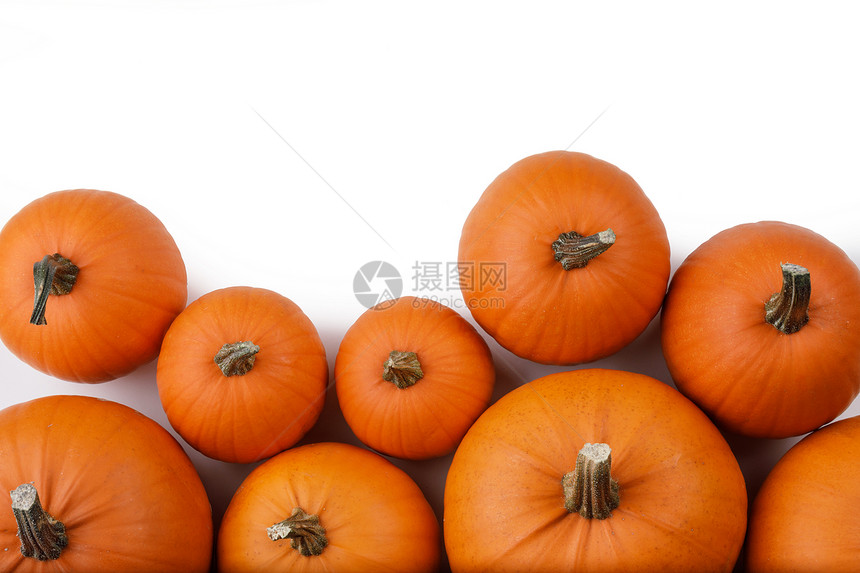 许多橙色南瓜隔离白色背景,万节很多橙色的南瓜图片