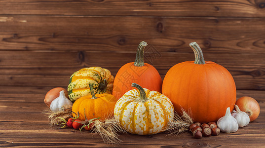 秋收生活与南瓜,小麦耳朵,榛子,大蒜,洋葱玫瑰浆果木制背景木桌上的秋收图片
