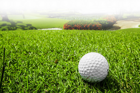 高尔夫球场绿草地上的高尔夫球,球场上的高尔夫球高清图片
