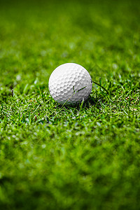 高尔夫球场绿草地上的高尔夫球,球场上的高尔夫球背景图片