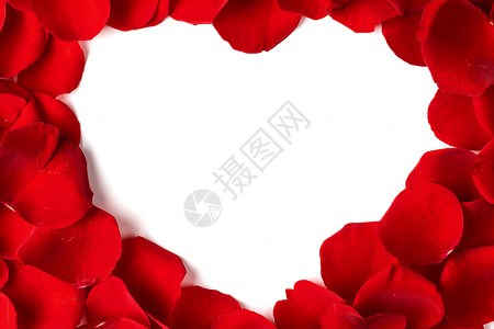 心形框架由玫瑰花瓣制成,白色花瓣的心框背景图片