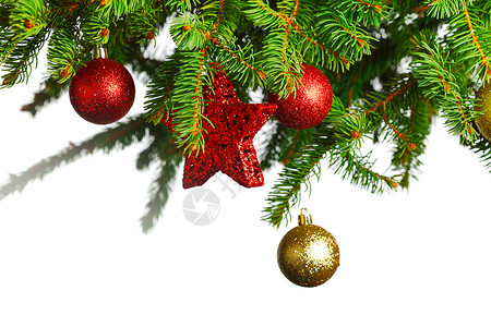 诞树的树枝,白色背景上隔离着红色金色的璃球背景图片