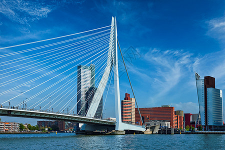 鹿特丹城市景观全景与伊拉斯谟桥荷兰荷兰鹿特丹城市景观图片