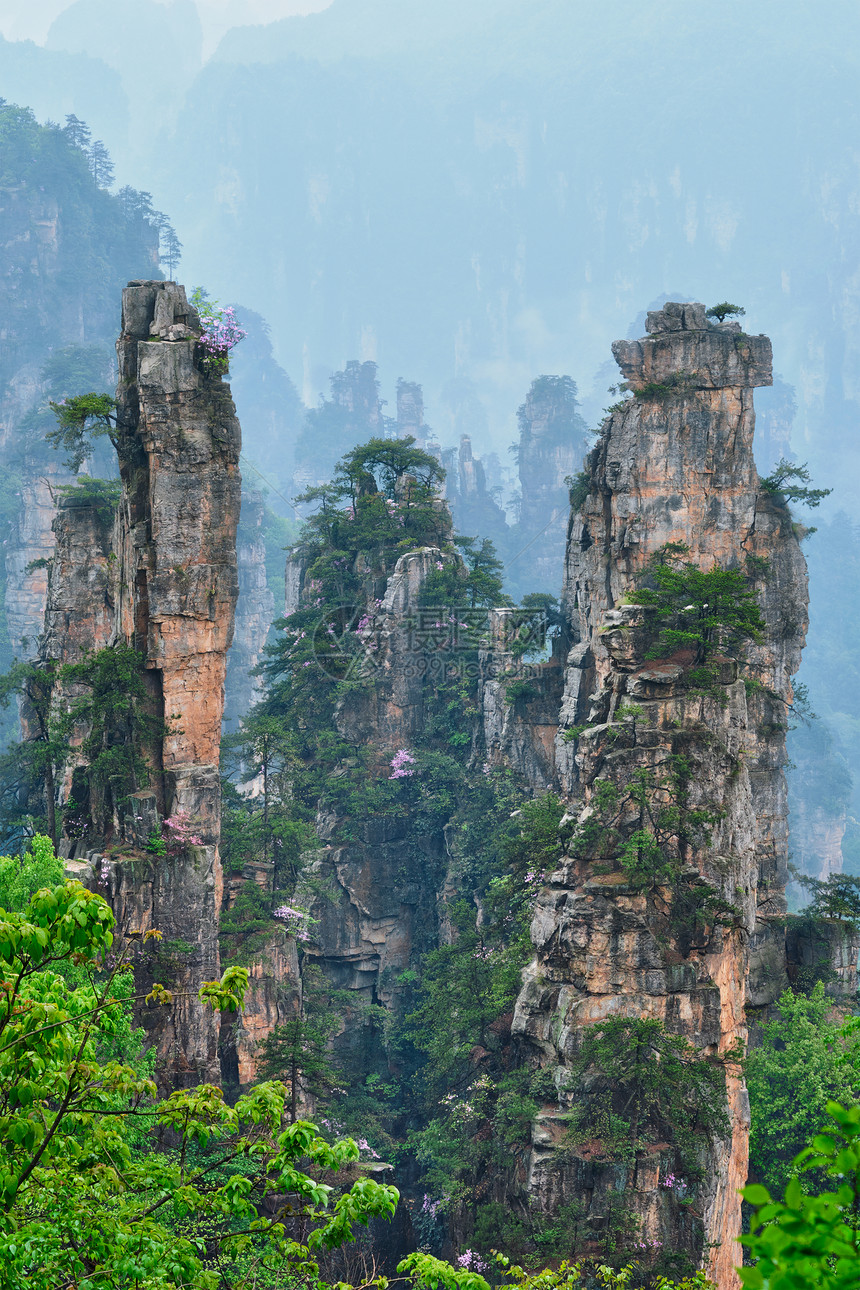 中国著名的旅游景点张家界石柱崖山雾云中,湖南武陵源,中国带着相机锅张家界山脉,中国图片