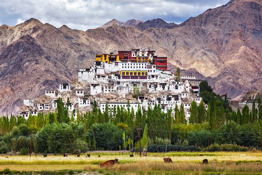 ThikseGompaThikse修道院也Ladakhi音译为TikseTikseyThiksey佛教寺院的黄图片