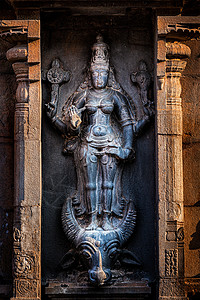 萌神乔巴印度教女神杜尔加Mahisaurmardini形象布里哈迪什瓦拉寺庙,坦乔尔Thanjur,泰米尔纳德邦,印度背景