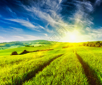 日落时,用绿色的草地滚动夏季景观滚动的夏季景观图片