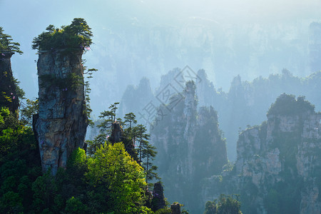 树鲁克伦科地标森林高清图片