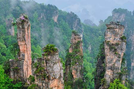 中国著名的旅游景点张家界石柱崖山雾云中,湖南武陵源,中国张家界山脉,中国图片