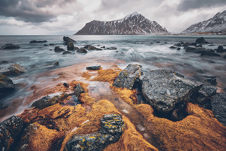 挪威海峡湾的岩石海岸,冬天雪斯卡桑登海滩,洛芬岛,挪威挪威峡湾的岩石海岸图片