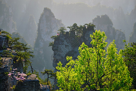 中国著名的旅游景点张家界石柱崖山日落湖南武陵源张家界山脉,中国图片