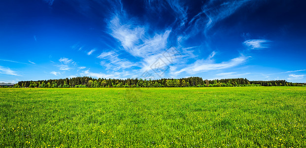 夏季草甸田园田园宁静景象的全景巴伐利亚,德国夏季草地全景图片