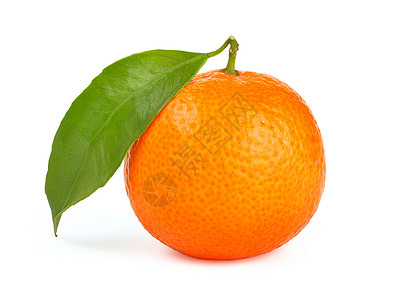 橙色橘子,叶分离白色背景上橙橘与叶分离背景图片