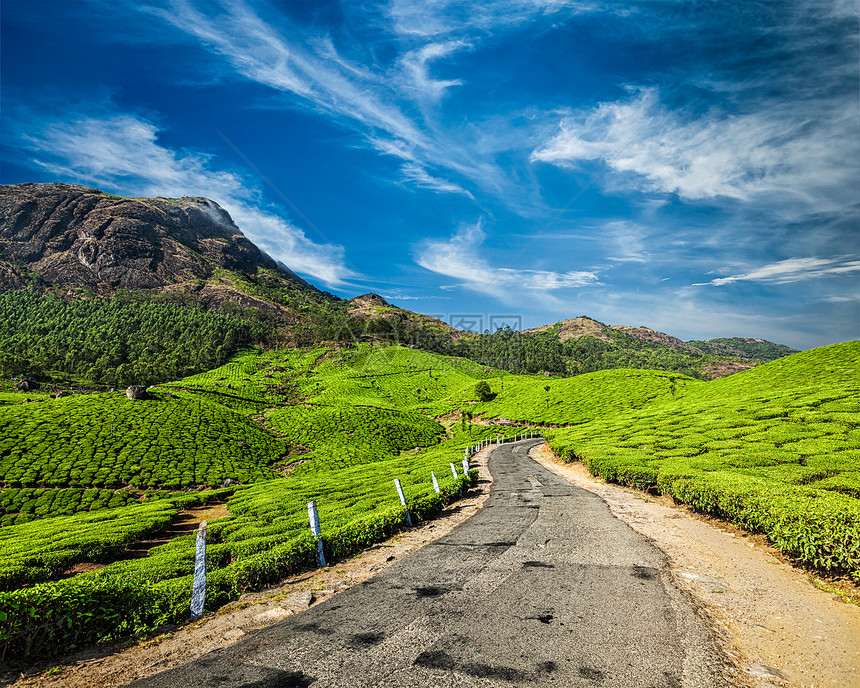 风景道绿茶种植园,穆纳尔,喀拉拉邦,印度印度茶园道路图片