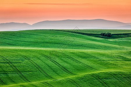 日出时莫拉维亚滚动的景观捷克共国南莫拉维亚日出时莫拉维亚伏的景观图片