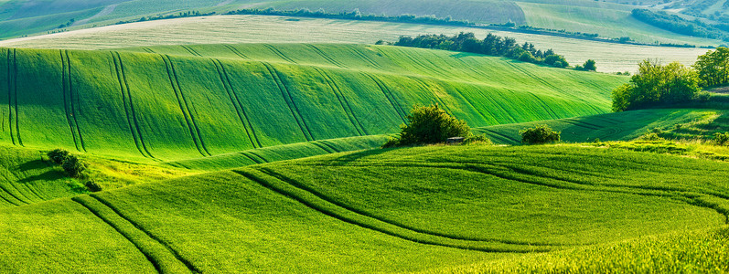 欧洲农村壁纸莫拉维亚滚动田野景观全景,莫拉维亚,捷克共国莫拉维亚滚动景观图片