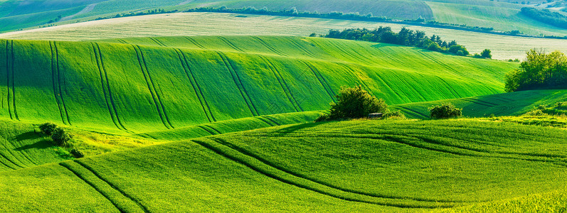 欧洲农村壁纸莫拉维亚滚动田野景观全景,莫拉维亚,捷克共国莫拉维亚滚动景观图片